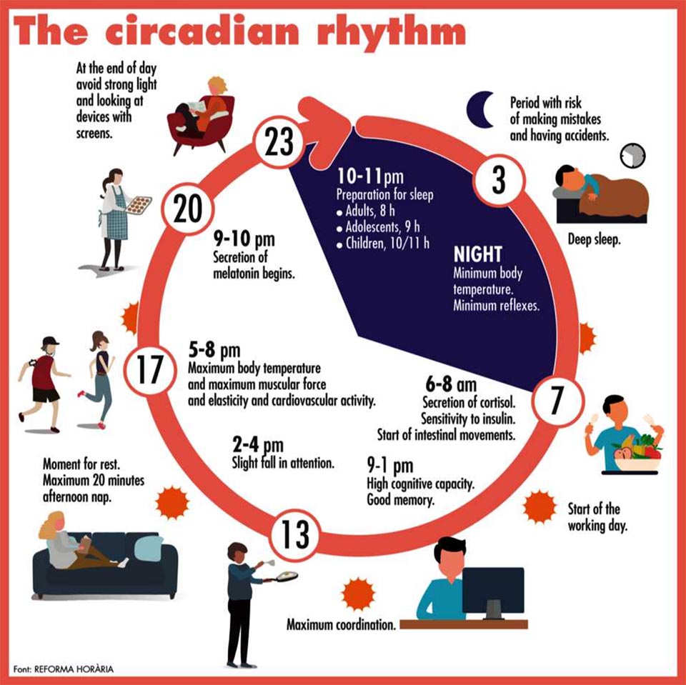 Improve Your Health with Circadian Rhythm Fasting: The Complete Guide to Eating at the Right Time